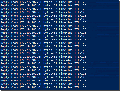 Windows server 2019 intel nic