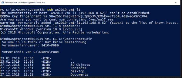 Establish a connection to a freshly installed SSH server