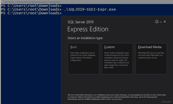 Installation options in the graphical setup for SQL Server 2019