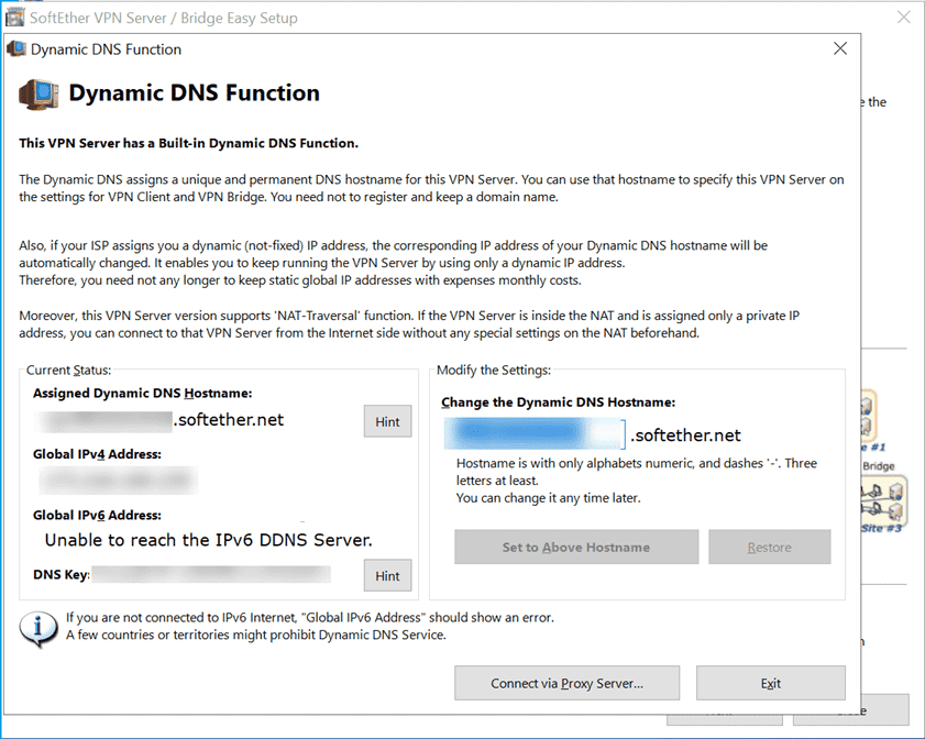 Viewing the SoftEther VPN Server Dynamic DNS settings