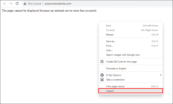 Opening developer tools in web browser to reveal server errors