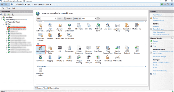 Viewing various authentication modes supported by a website in IIS