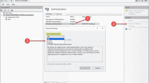 Enabling Windows Extended Protection in IIS