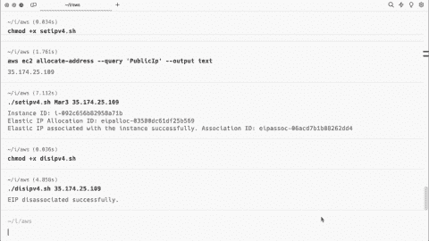 Associate and disassociate an Elastic IP address